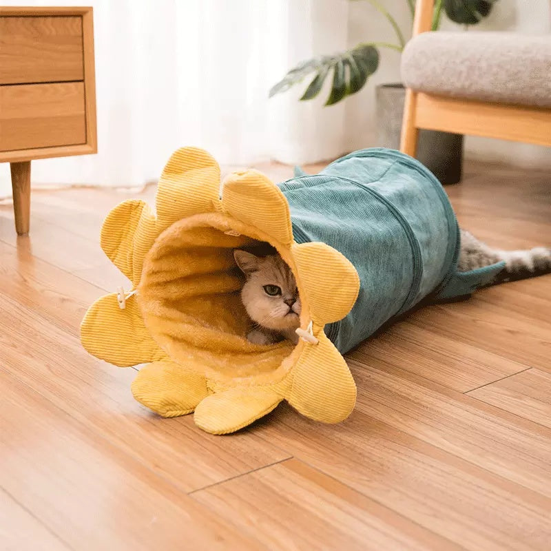 Creative Fruit Funny Pet Cat Tunnel Toy - PIX GOODS