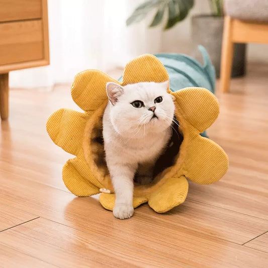 Creative Fruit Funny Pet Cat Tunnel Toy - PIX GOODS