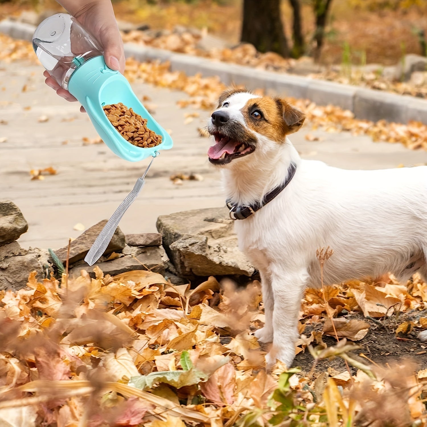 Portable Pet Water Bottle With Food Container - PIX GOODS