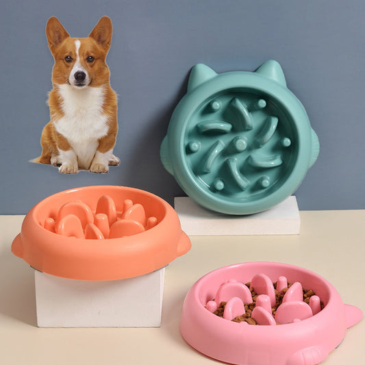 Anti Choking Slow Feeder Bowl - PIX GOODS