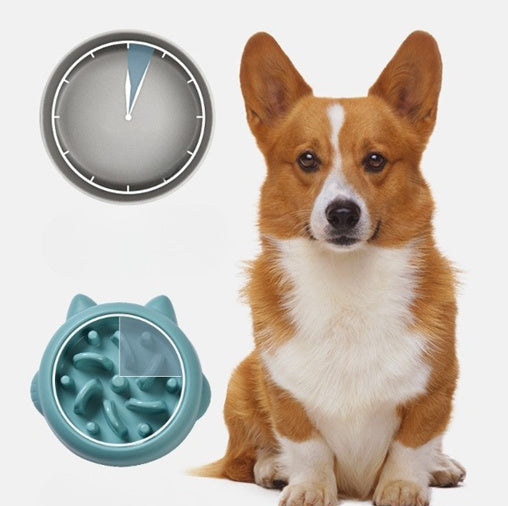 Anti Choking Slow Feeder Bowl - PIX GOODS