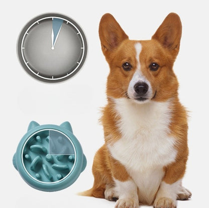 Anti Choking Slow Feeder Bowl - PIX GOODS
